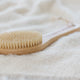 The Dry Brush The Dry Brush